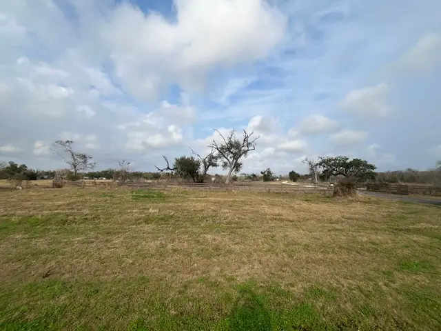 4928 County Road 819, Brazoria, TX 77422 - Image #3