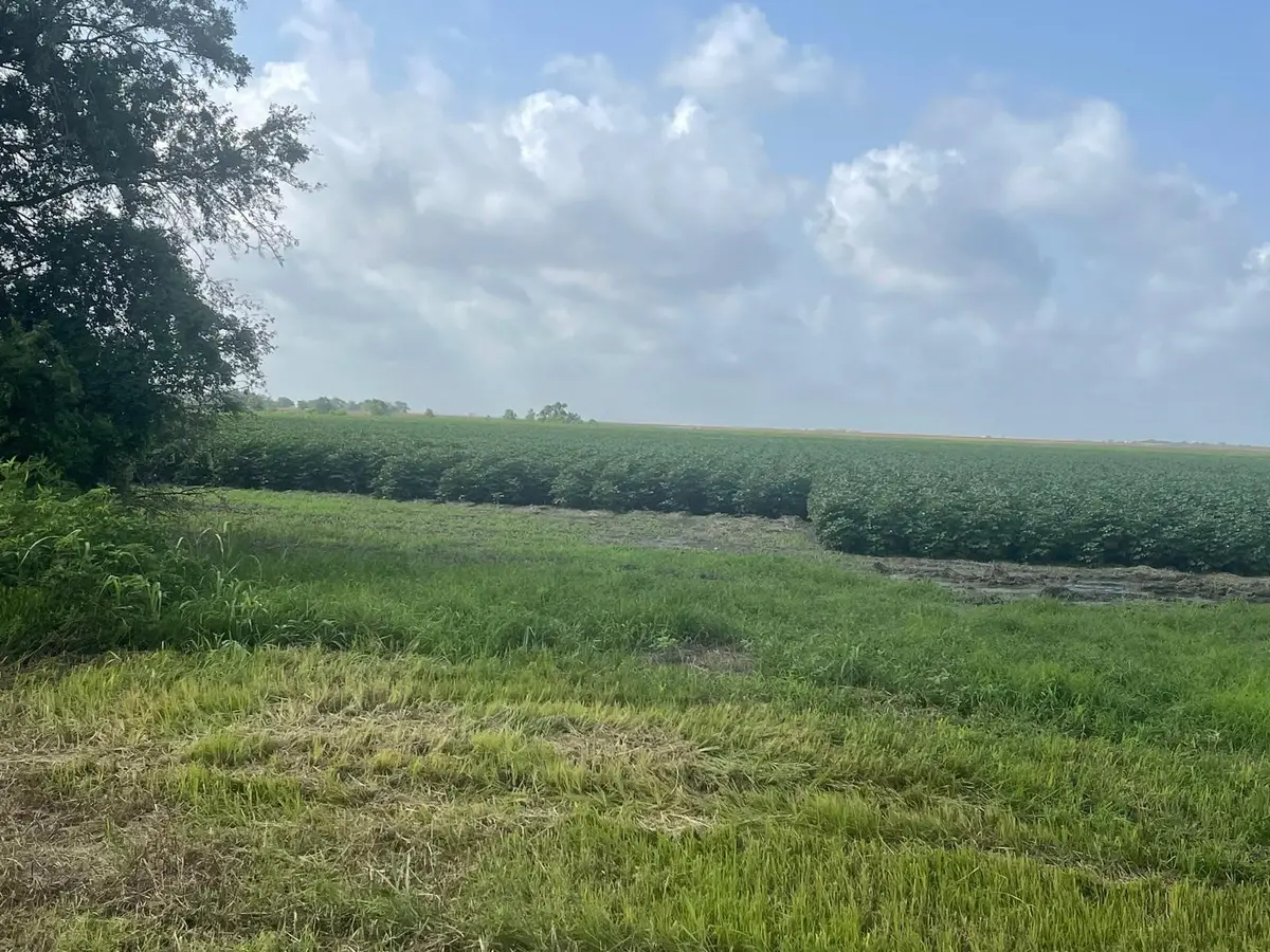 10815 Koym Road, Beasley, TX 77417 - #1