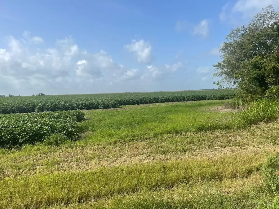 10815 Koym Road, Beasley, TX 77417 - #3