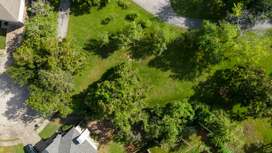 0 Twelve Oaks Lane, Missouri City, TX 77459 - Image #3