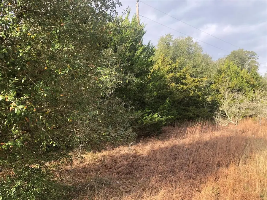 0 Sierra Road, Brenham, TX 77833 - Image #3