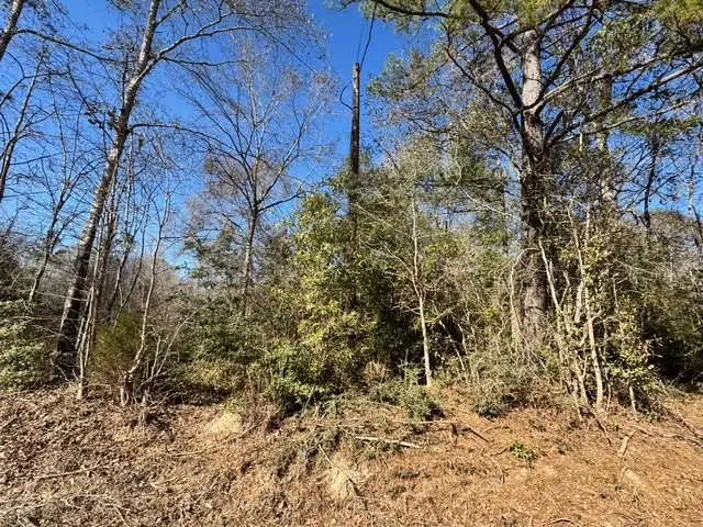 TBD Lee Turner Road, Cleveland, TX 77328 - Image #2