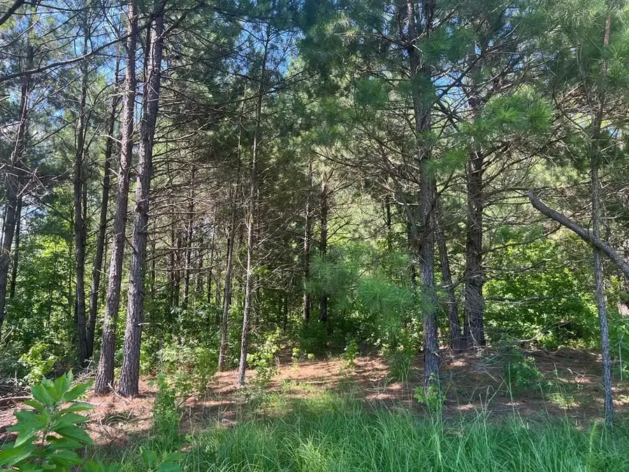 251 Pr 7701, San Augustine, TX 75972 - #3