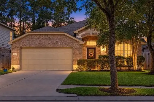 20184 Bitter Root Drive, Porter, TX 77365 - #1