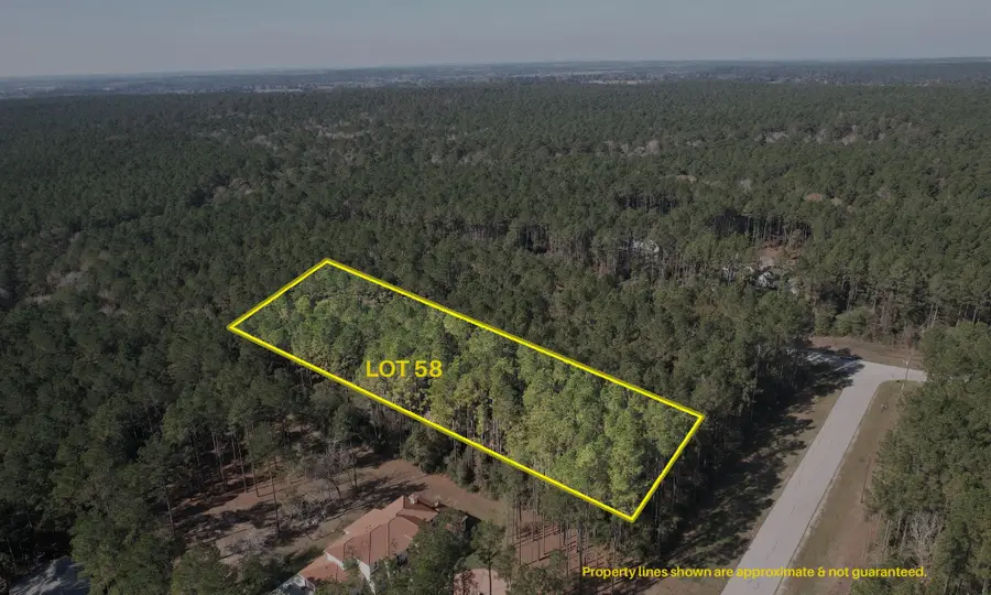 12-22-58 Grey Feather Road, Huntsville, TX 77340 - Image #2