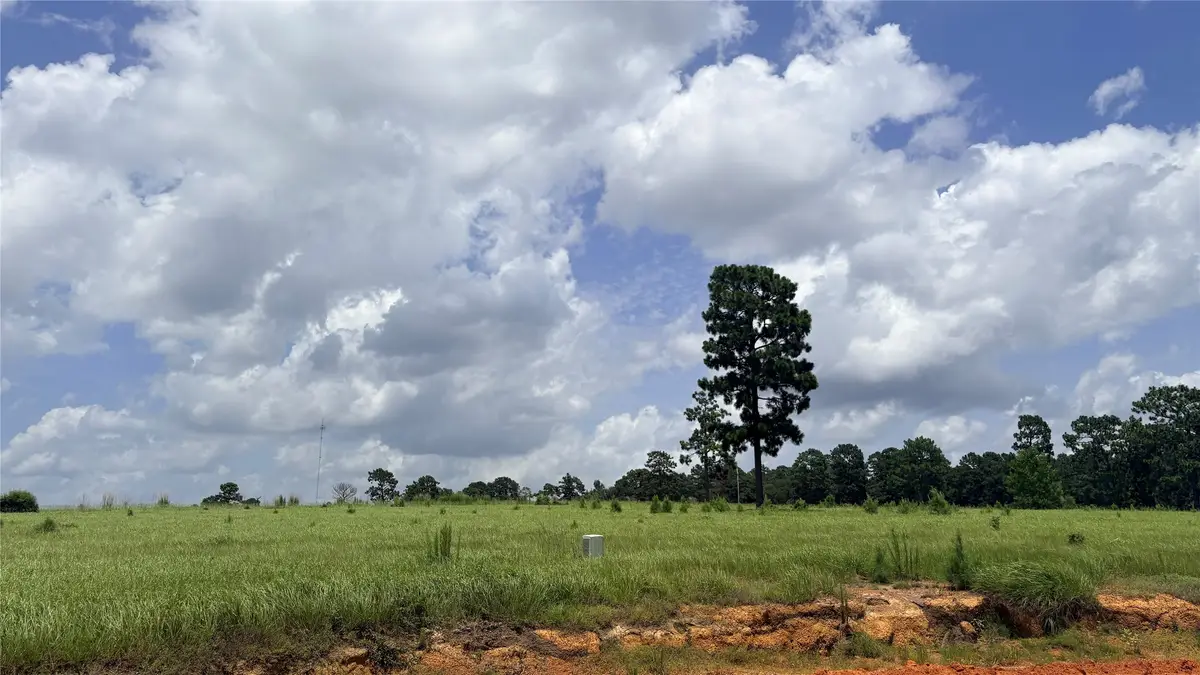 LOT 247 Meadow View Drive, Hillister, TX 75979 - #1