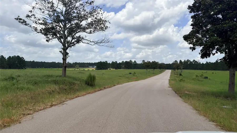 LOT 247 Meadow View Drive, Hillister, TX 75979 - #2