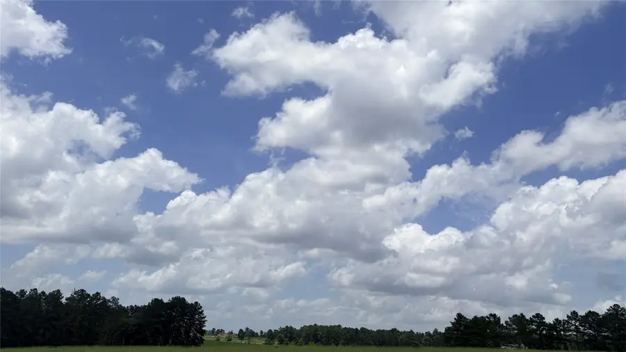 LOT 247 Meadow View Drive, Hillister, TX 75979 - #3