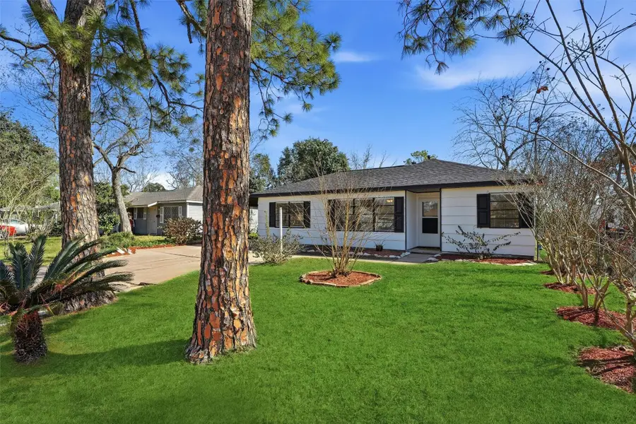 13915 Nitida Street, Houston, TX 77045 - #2