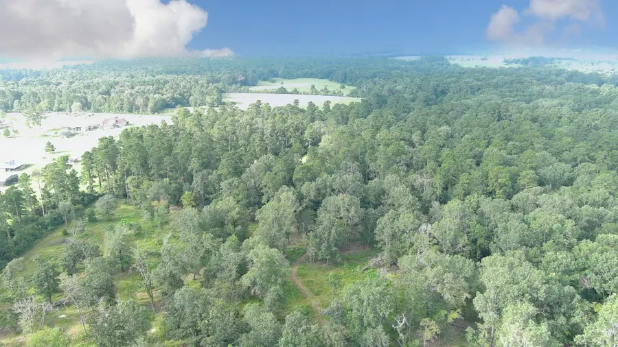 013 Gregory Lane, New Waverly, TX 77358 - Image #3