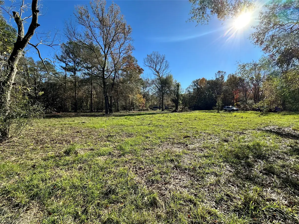 17271 S Tram Road, Splendora, TX 77372 - Image #1
