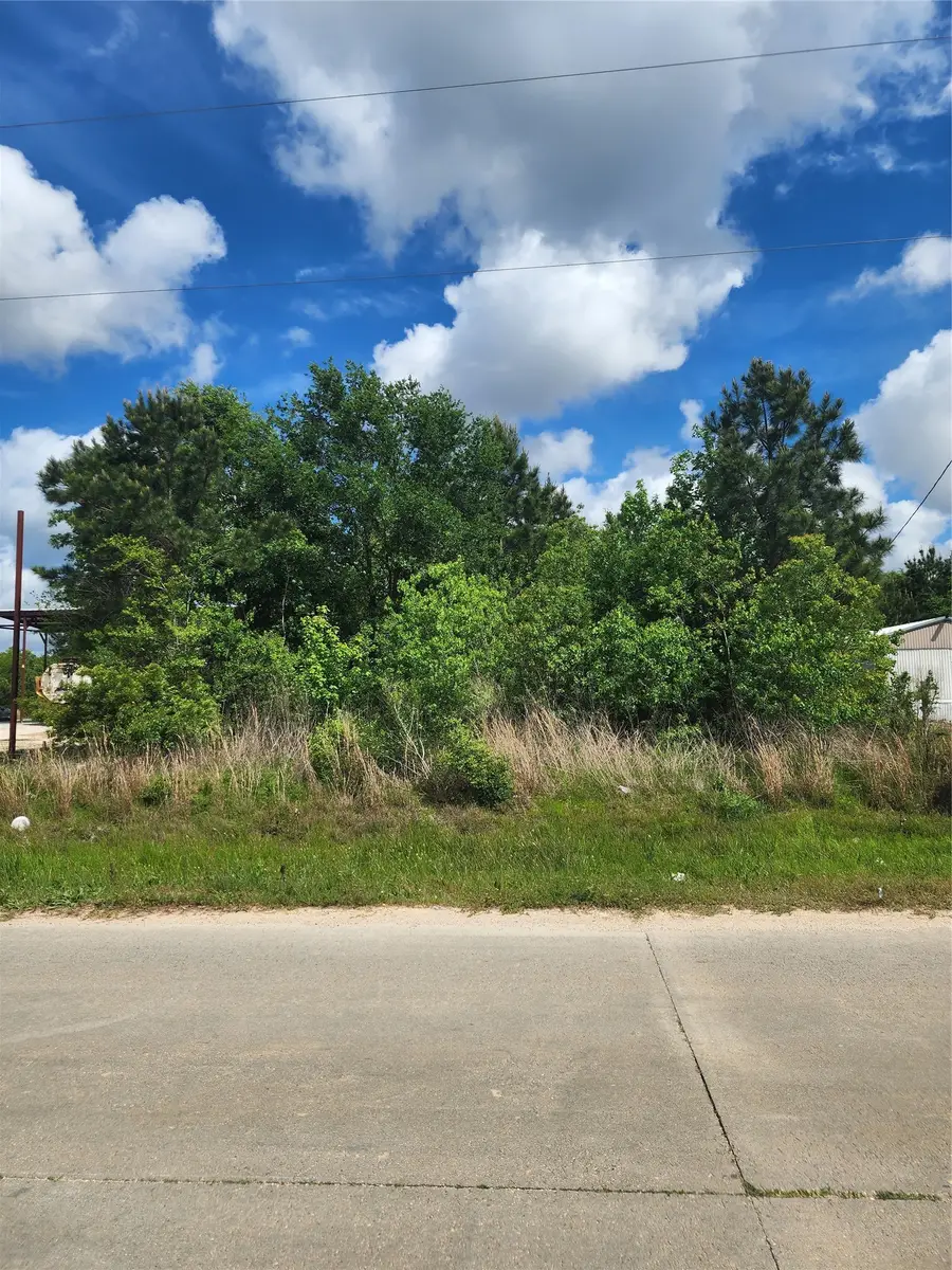 1117 County Road 3556, Cleveland, TX 77327 - #2
