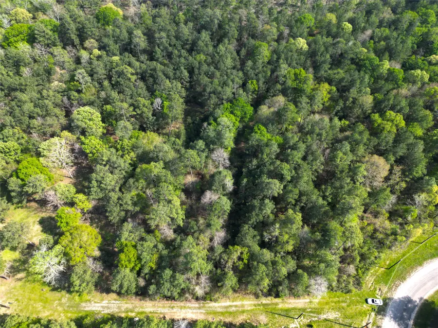 9 Dedication Trail, Huntsville, TX 77340 - Image #2