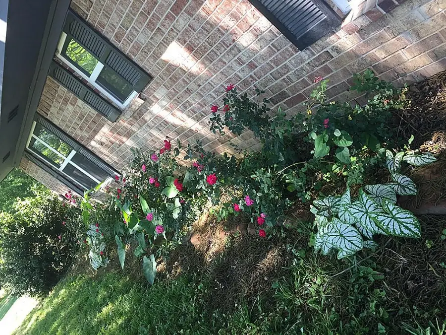 268 N Mt Mariah, Montgomery, TX 77356 - Image #3