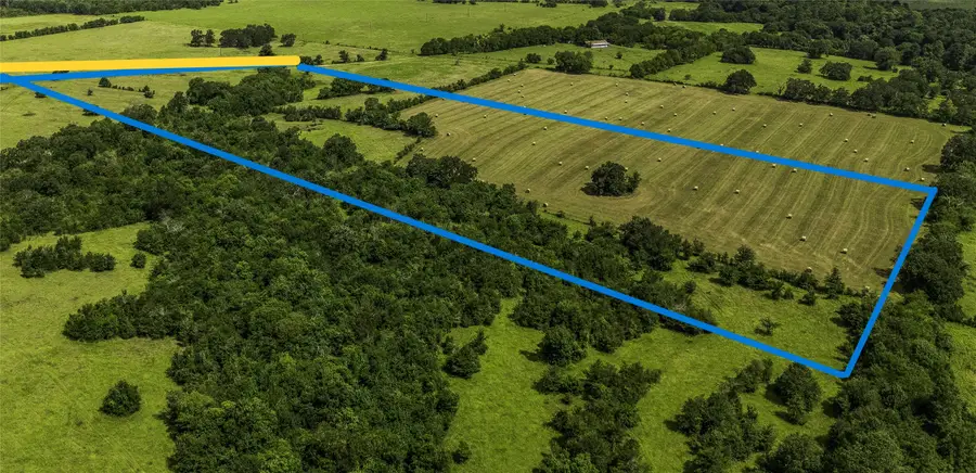 10265 Fm 1774 Tract B1, Plantersville, TX 77363 - #3
