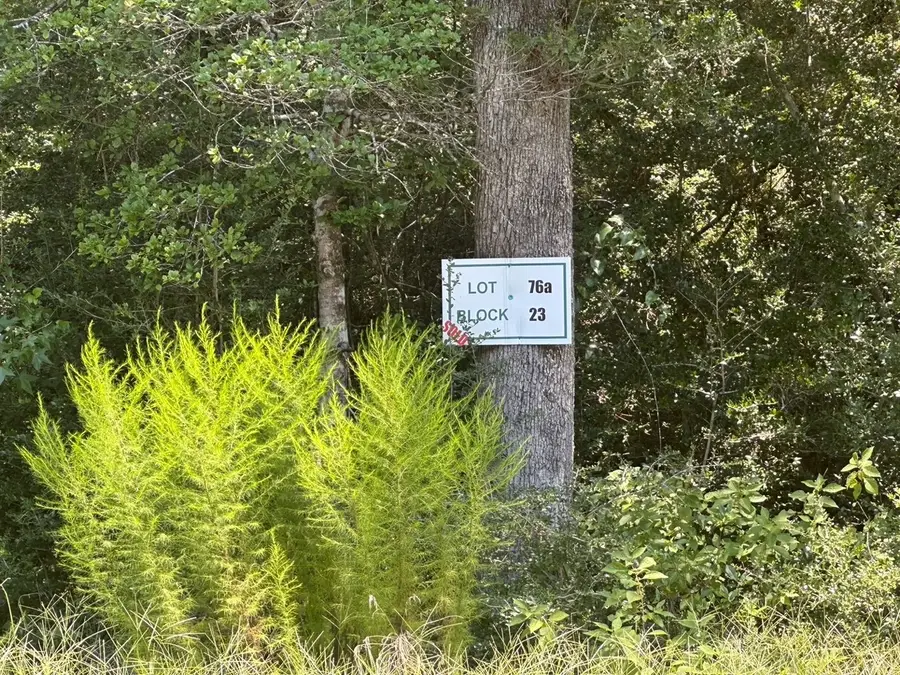 238 Sky Oak Lane, Huntsville, TX 77340 - #3