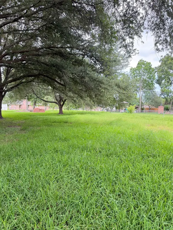 12703 Flaxseed Way, Stafford, TX 77477
