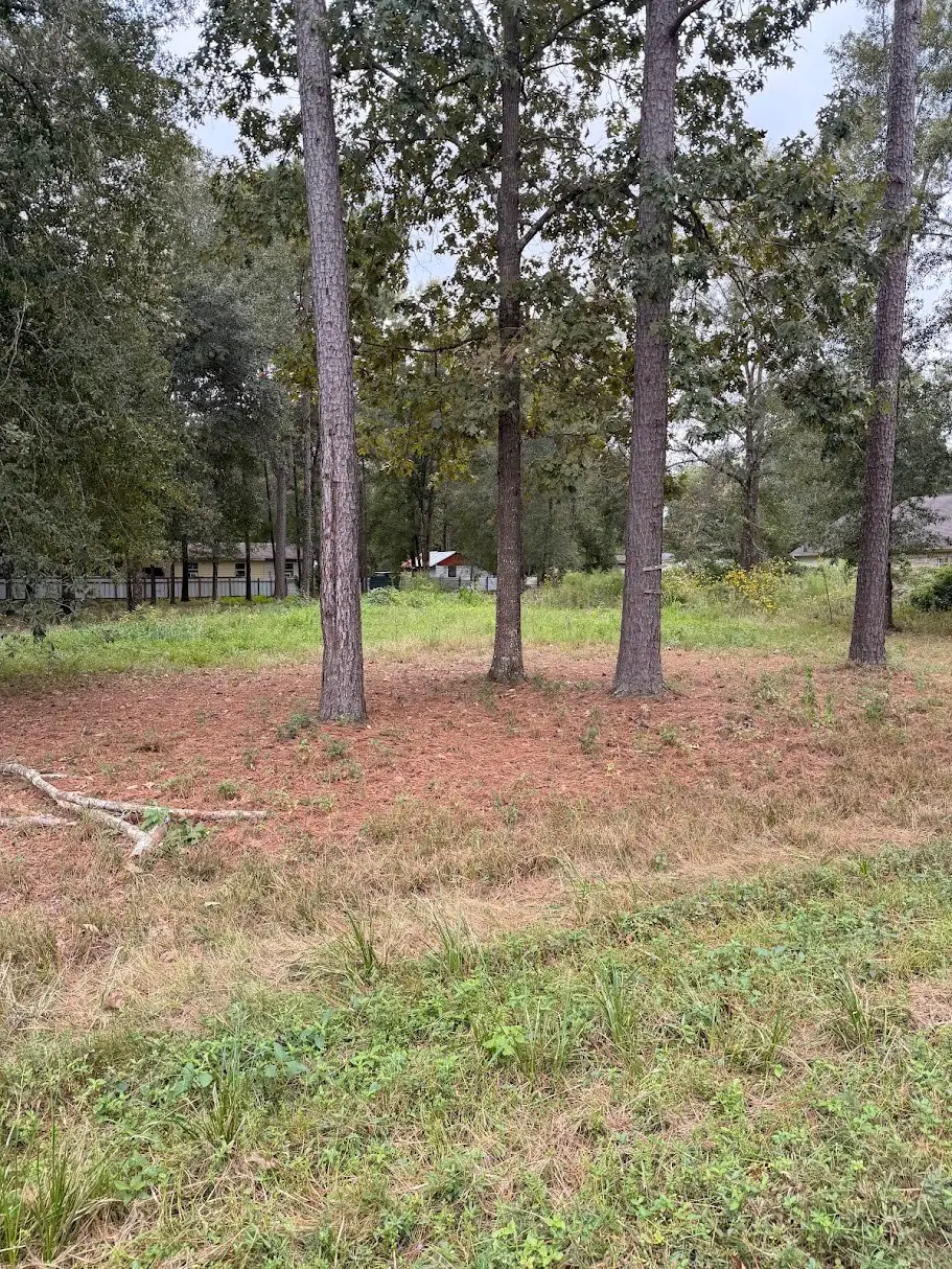 25546 Cambridge Boulevard, New Caney, TX 77357 - #1