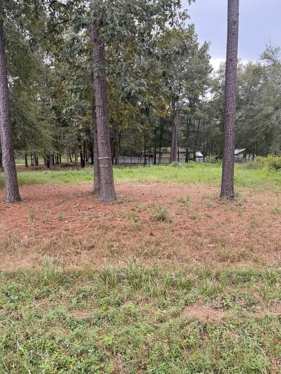 25546 Cambridge Boulevard, New Caney, TX 77357 - #3