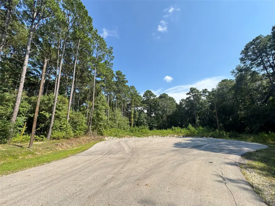 14/15a Prosperity Court, New Waverly, TX 77358 - Image #3