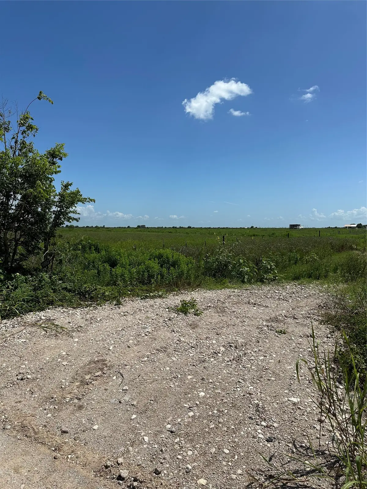 TBD Beal Road, Eagle Lake, TX 77434 - #1
