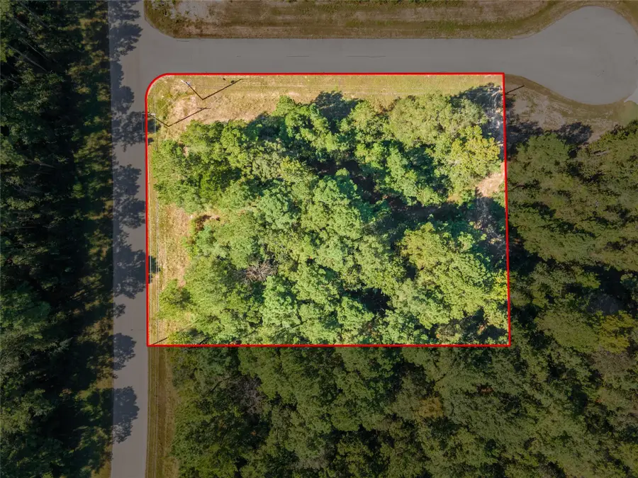 5-27-6 Feldspar Lane, Huntsville, TX 77340 - Image #3