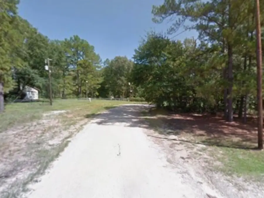 340 Oak Tree Drive, Point Blank, TX 77364 - #3