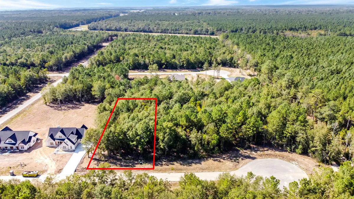 1717 Road 66118, Dayton, TX 77535 - Image #1