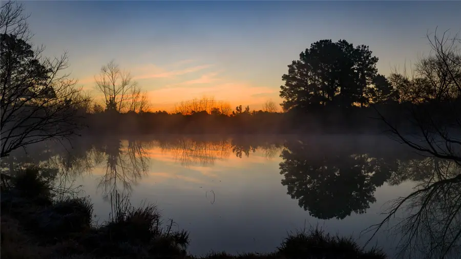 10999 Fm 230, Lovelady, TX 75851 - #3