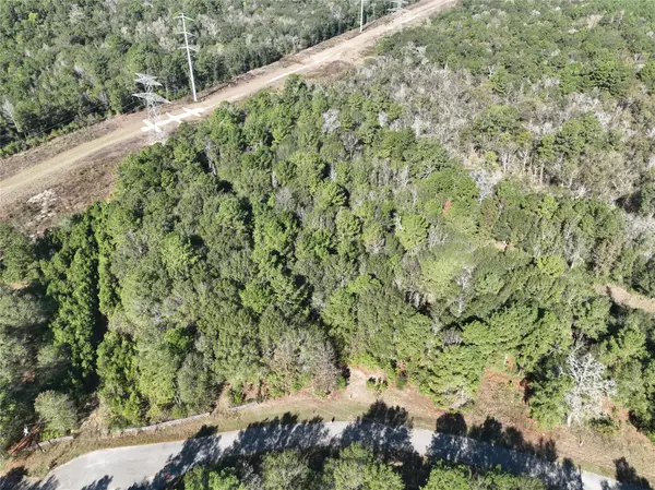 TBD TBD Horseshoe Bend, Waller, TX 77484