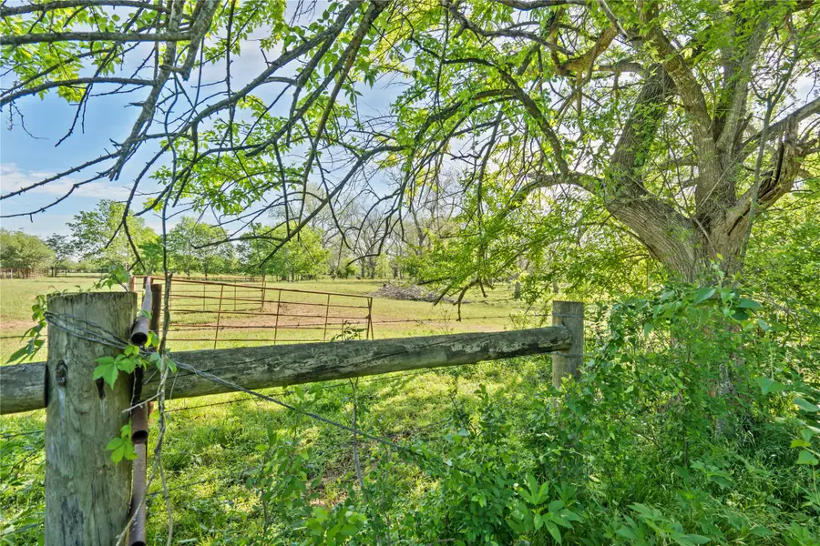 6504 Viereck Road, Sealy, TX 77474 - #2