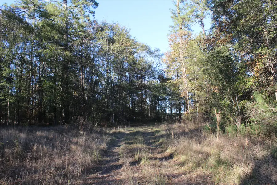 00 TBD Tx-150, Coldspring, TX 77331 - Image #2