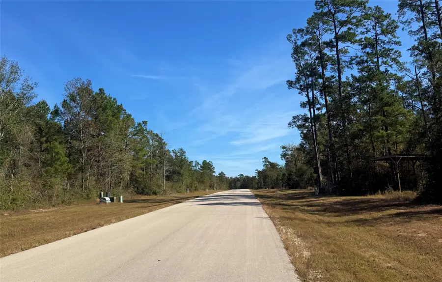 312 Iron Horse Road, New Waverly, TX 77358 - Image #3