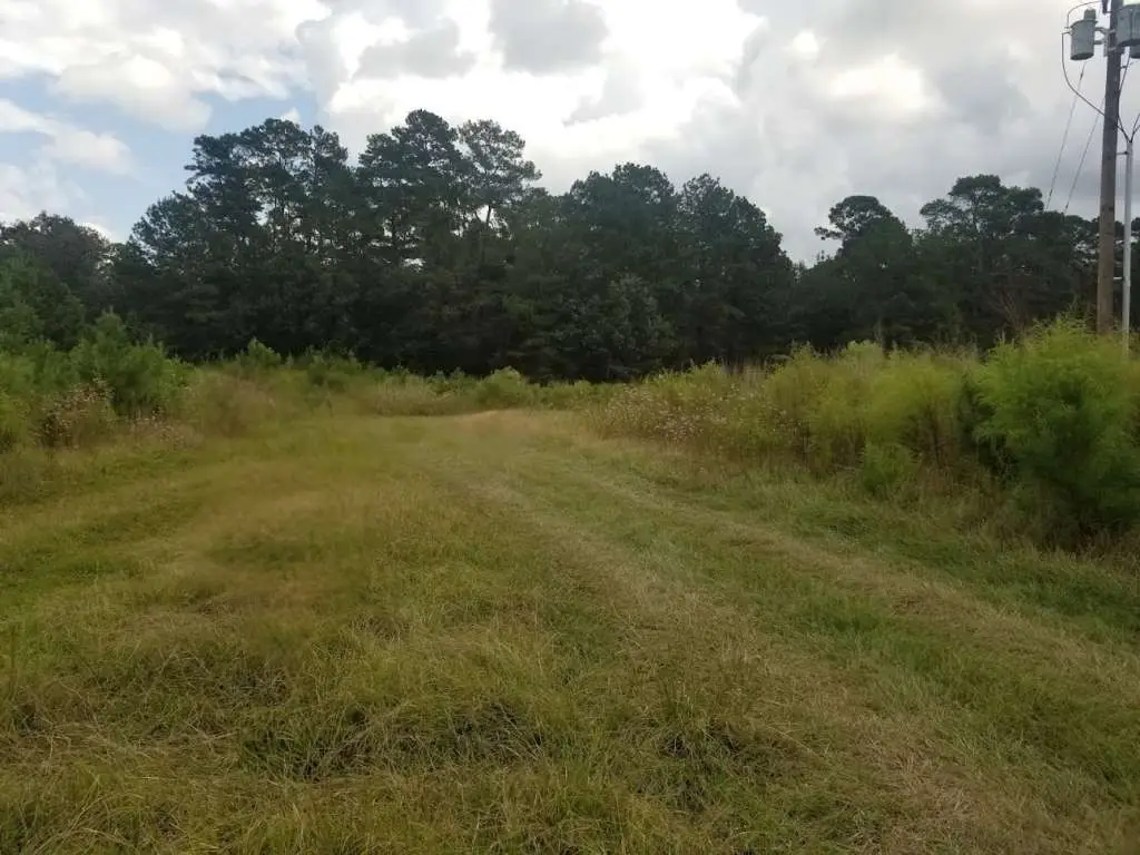 12197 Fm 2025 Road, Cleveland, TX 77328 - #1