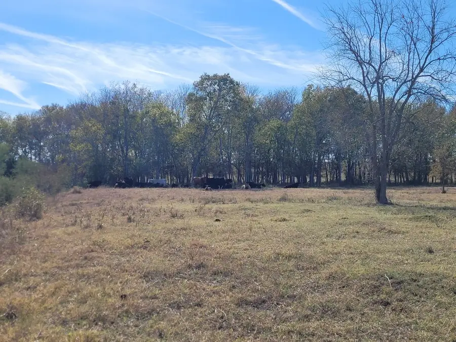 TBD 1 Caney Creek Road, Chappell Hill, TX 77426 - Image #2