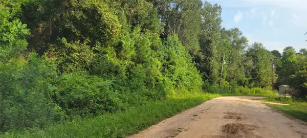 19082 Norfolk Court, New Caney, TX 77357