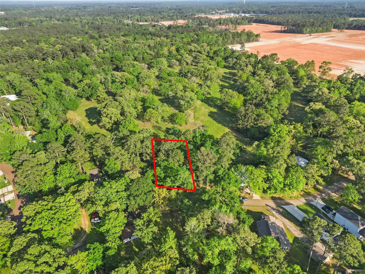 TBD Skylane Drive, Montgomery, TX 77316 - #1