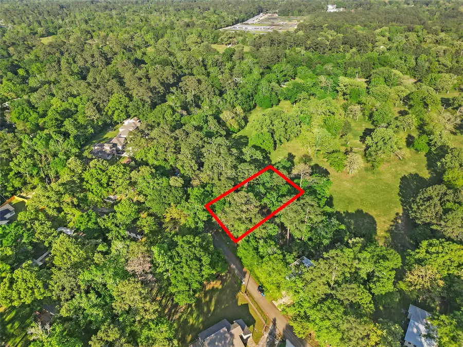 TBD Skylane Drive, Montgomery, TX 77316 - #2