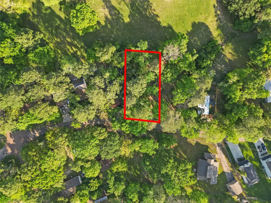 TBD Skylane Drive, Montgomery, TX 77316 - #3