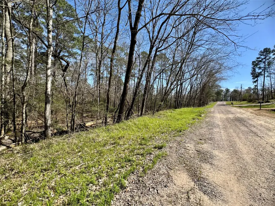 0000 Saddle Surrey Lane, Coldspring, TX 77331 - Image #2