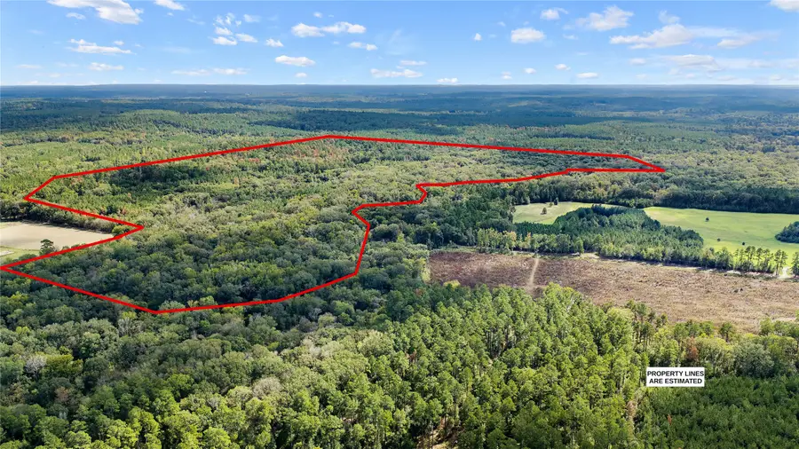0 Cr 3218, Mount Enterprise, TX 75760 - #2
