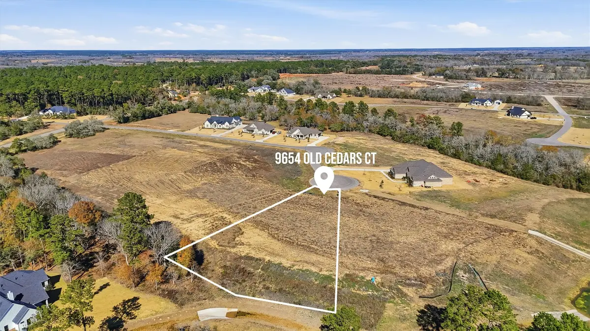 9654 Old Cedars Court, Plantersville, TX 77363 - #1