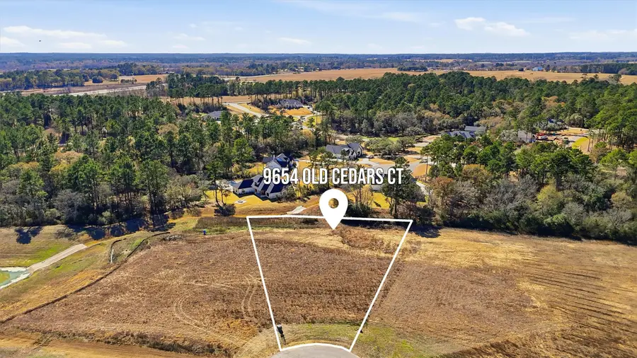 9654 Old Cedars Court, Plantersville, TX 77363 - #3