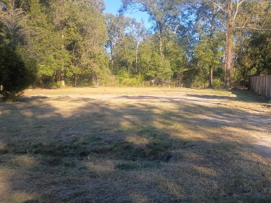 20217 Ada Lane, New Caney, TX 77357 - Image #2