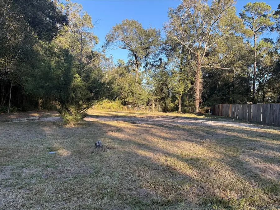 20217 Ada Lane, New Caney, TX 77357 - Image #3