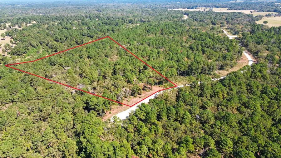 60 County Road 114, Centerville, TX 75833 - Image #2