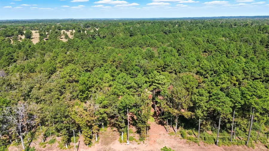 60 County Road 114, Centerville, TX 75833 - Image #3