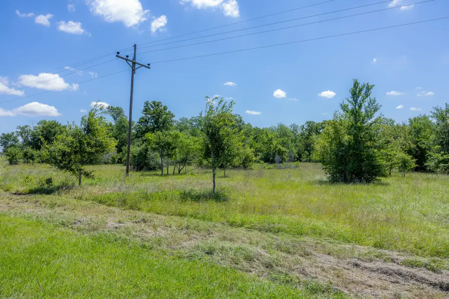 6534 Atakapan Trail, Bedias, TX 77831 - #2