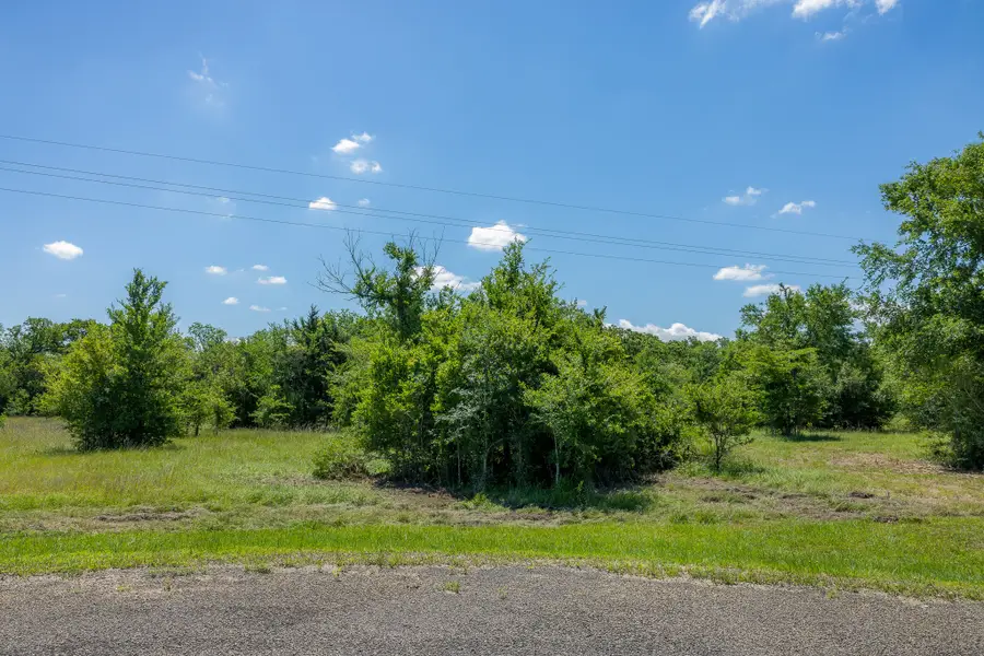 6534 Atakapan Trail, Bedias, TX 77831 - #3