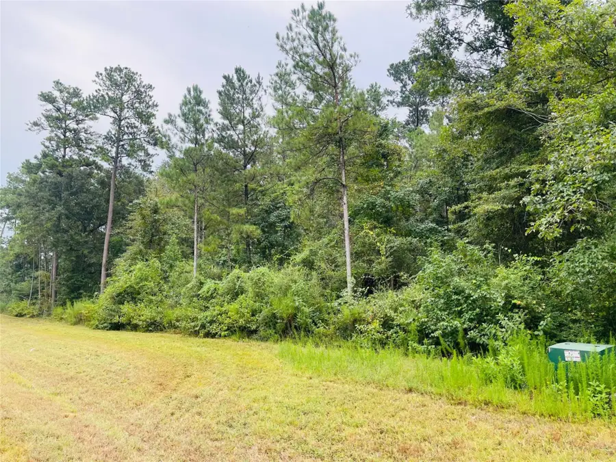 15591 Wood Grove Way, Willis, TX 77378 - #2
